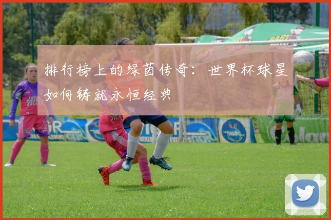 排行榜上的绿茵传奇：世界杯球星如何铸就永恒经典