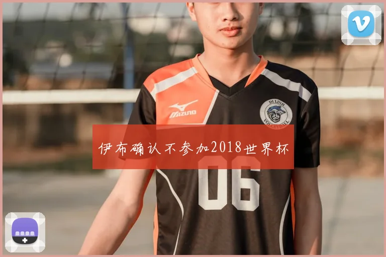 伊布确认不参加2018世界杯