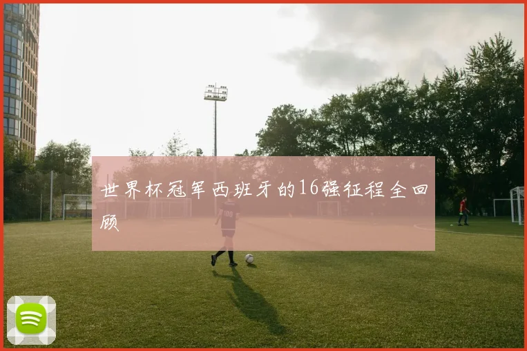世界杯冠军西班牙的16强征程全回顾