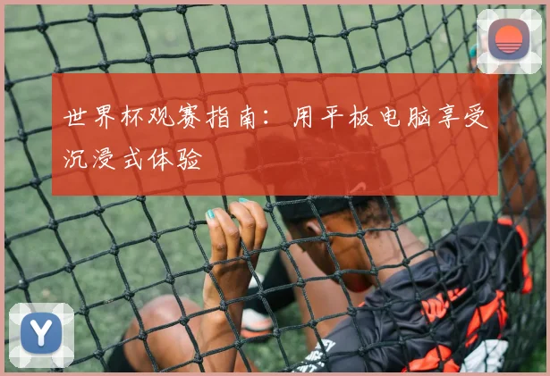 世界杯观赛指南:用平板电脑享受沉浸式体验