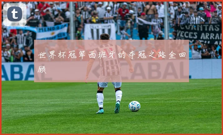 世界杯冠军西班牙的夺冠之路全回顾