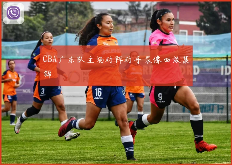 CBA广东队主场对阵对手录像回放集锦