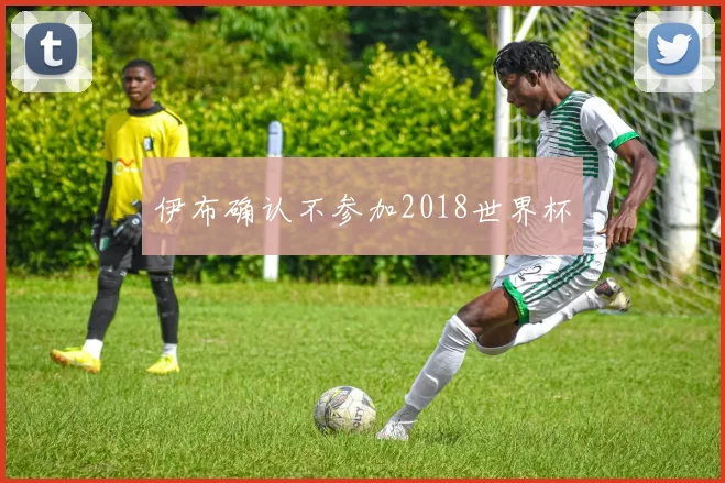 伊布确认不参加2018世界杯