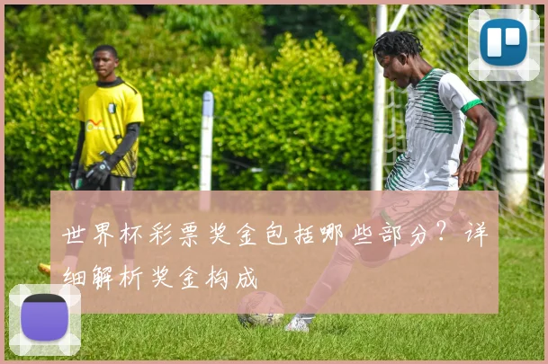 世界杯彩票奖金包括哪些部分？详细解析奖金构成