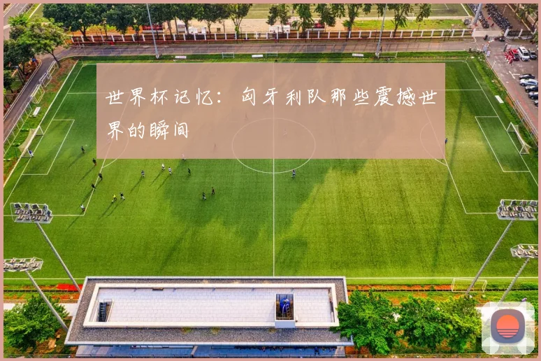 世界杯记忆:匈牙利队那些震撼世界的瞬间