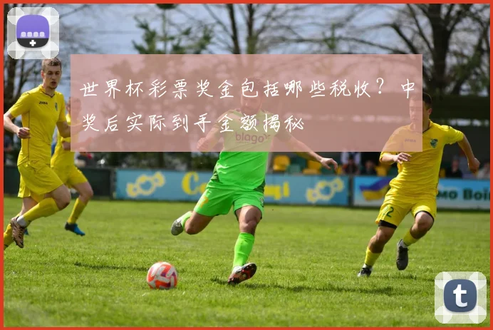 世界杯彩票奖金包括哪些税收？中奖后实际到手金额揭秘