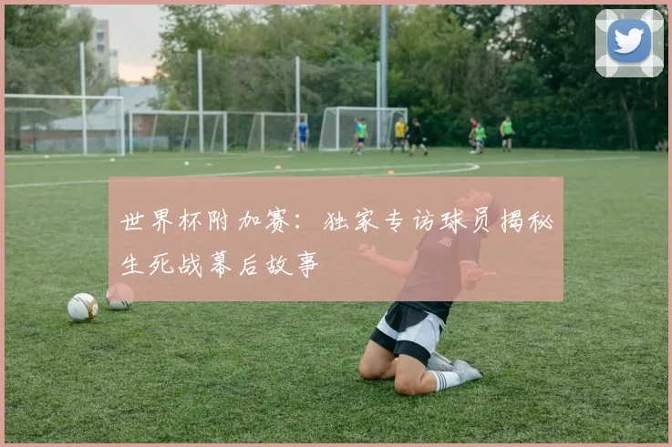 世界杯附加赛:独家专访球员揭秘生死战幕后故事