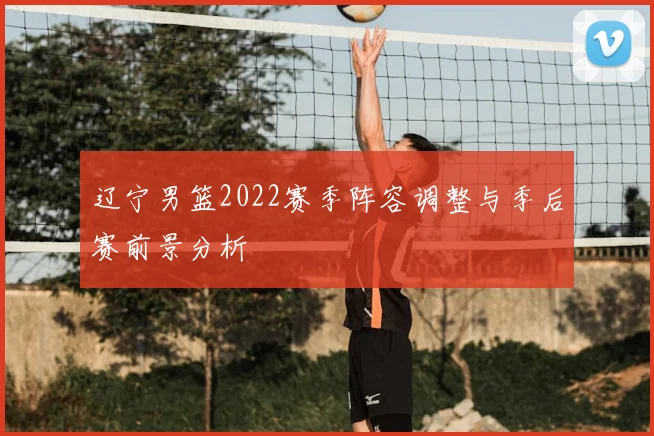 辽宁男篮2022赛季阵容调整与季后赛前景分析