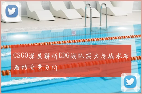 CSGO深度解析EDG战队实力与战术布局的全景分析