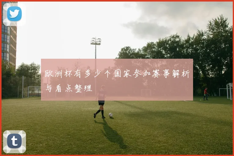 欧洲杯有多少个国家参加赛事解析与看点整理