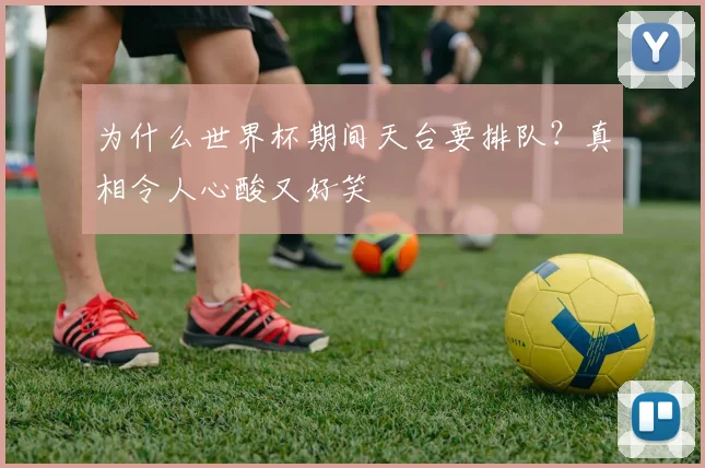 为什么世界杯期间天台要排队?真相令人心酸又好笑