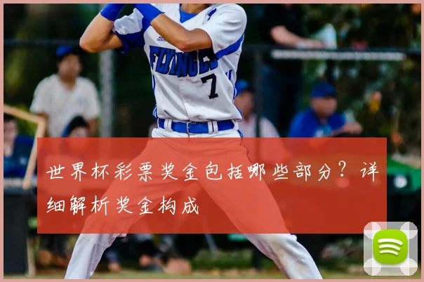 世界杯彩票奖金包括哪些部分?详细解析奖金构成