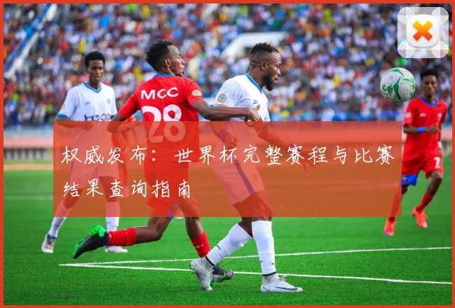 权威发布:世界杯完整赛程与比赛结果查询指南