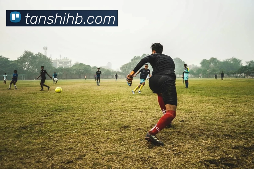 九游会·j9官网服务体系